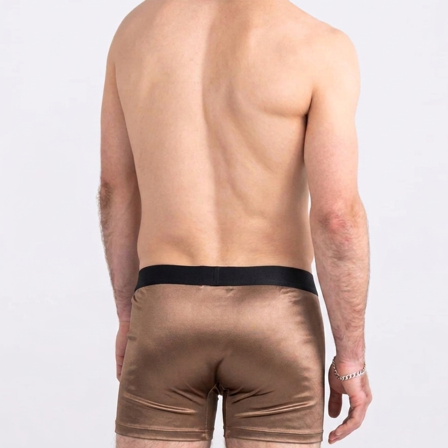 DawnDew Elegant Silk Men's Ice Silk Underwear Mulberry Silk Antimicrobial Men's Boxer Briefs