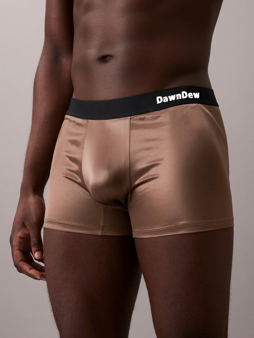Ice Mulberry Silk Antimicrobial Men's Boxer Briefs