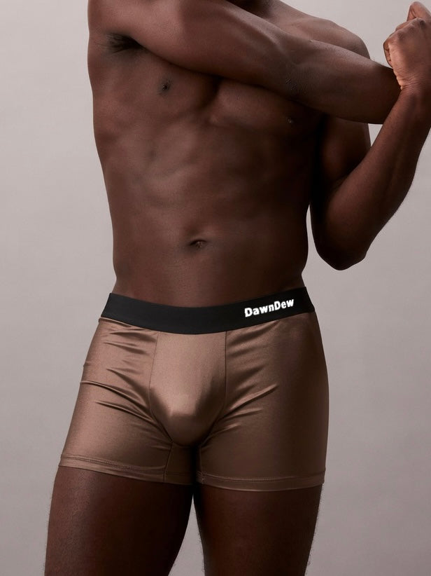 Ice Mulberry Silk Antimicrobial Men's Boxer Briefs